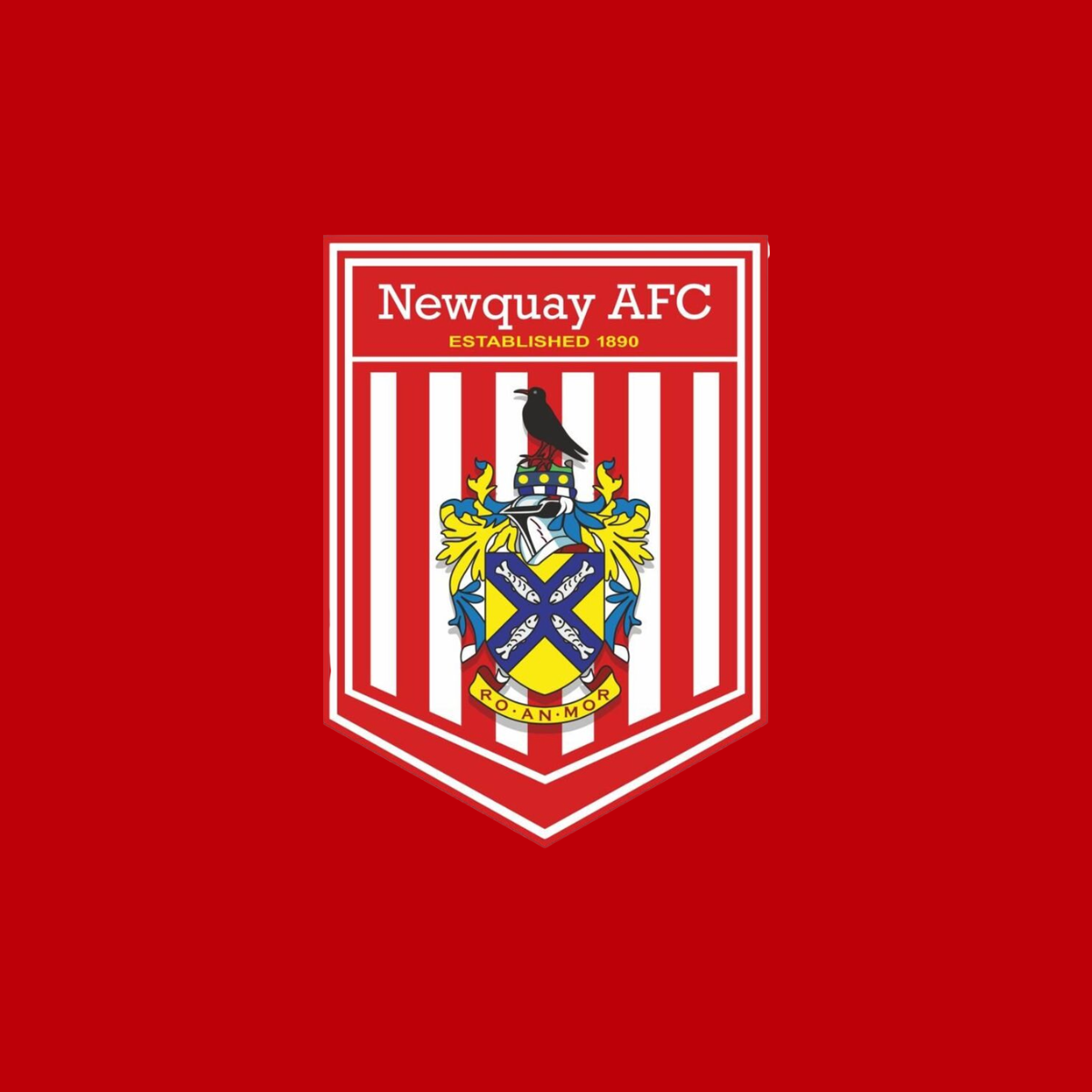 NEWQUAY AFC